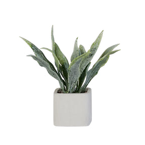 Mini Plant-Sansevieria 1/6 Scale Dollhouse Miniature